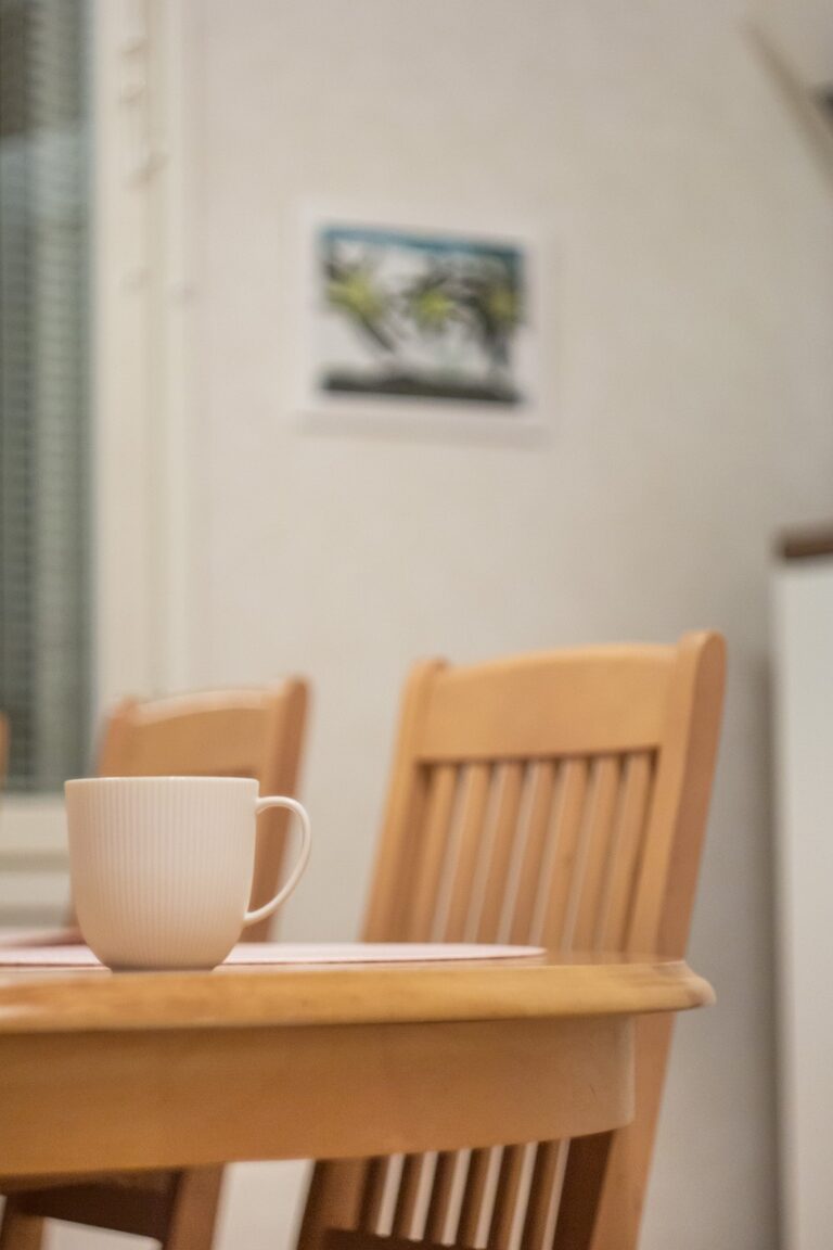 sedie legno massello sala da pranzo